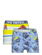 Paw Patrol Boxer Multi/patterned