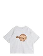 Mini Rodini Flundra Sp Ss Tee Grå