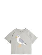 Mini Rodini Seagull Sp Ss Tee Grå