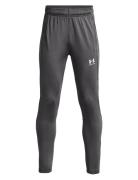 Under Armour Ua B's Challenger Train Pant Grå