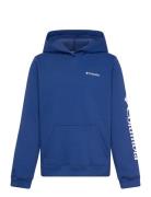 Columbia Sportswear Columbia Trek Hoodie Blå