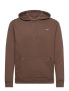 Hollister Hco. Guys Sweatshirts Brun