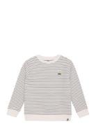 Daily 7 Sweater Stripe Beige