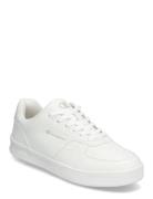 Champion Newman Low Cut Shoe Vit