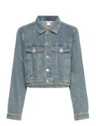 Monki Cropped Denim Jacket Blå