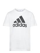 Adidas Sportswear U Bl Tee Vit