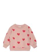 The New Tnstnell Sweatshirt Rosa