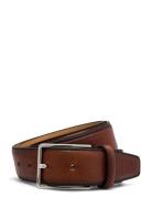 Saddler Dosso Brun