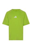 Adidas Sportswear J Gt Pz Tee Grön