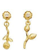 Maanesten Amaria Earrings Guld