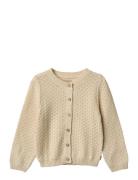 Wheat Knit Cardigan Magnella Beige