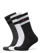 Polo Ralph Lauren Athletic Crew Sock 3-Pack Multi/patterned