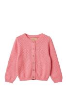 Wheat Knit Cardigan Magnella Rosa