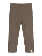 Petit Piao Legging Modal Brun