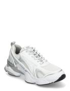 Steve Madden Speedster-E Sneaker Vit