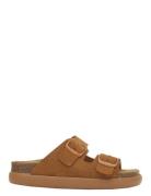 Scholl Sl Noelle Chunky Suede Cognac Brun