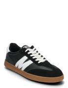 Steve Madden Caelum Sneaker Svart