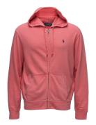 Polo Ralph Lauren Lsl-Knt Rosa