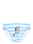 Bluey Swimsuit Blå