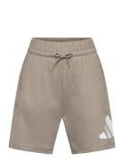 Adidas Sportswear J Bl Kn Sh 210 Beige