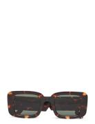 Komono Avery Havana Brun