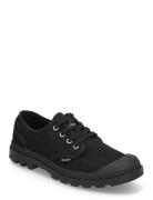Palladium Pampa Oxford Svart
