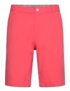 PUMA Golf Dealer Short 10" Rosa