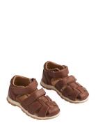 Wheat Sandal Frei Brun