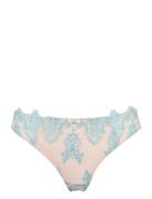 Missya Cille Brazilian Rosa