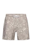 Hollister Hco. Guys Swim Grå