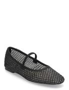 Steve Madden Majorca Ballerina Svart