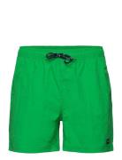 H2O Leisure Swim Shorts Grön