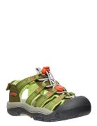 KEEN Ke Newport Boundless C-Dark Grön