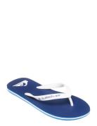 Quiksilver Molokai Core Blå