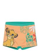 Løvernes Konge Maillot De Bain Multi/patterned