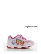 Paw Patrol Pawpatrol Sneakers Rosa