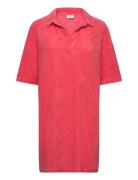 JDY Jdyterry S/S Collar Dress Jrs Exp Rosa