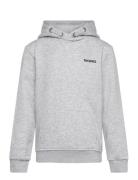 Björn Borg Borg Essential 4 Hoodie Grå