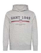 GANT Graphic Hoodie Grå