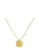 Edblad Floral Necklace S Guld