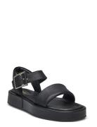 Clarks Alda Strap D Svart