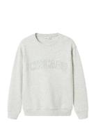 Name It Nkmlester Ls Nreg Sweat Unb Grå