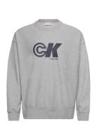 Calvin Klein Jeans Premium Terry Ck Sport Graphic C Grå