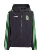 Adidas Originals Windbreaker Svart