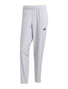 Adidas Performance Tr-Es Woven Pt Grå