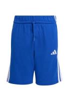 Adidas Sportswear J 3S Kn Sh 210 Blå