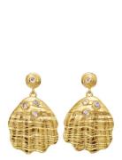 Maanesten Palma Earrings Guld