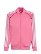 Adidas Originals Sst Track Top Rosa