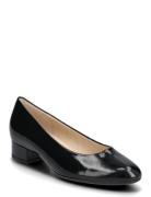 Gabor Pumps Svart