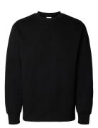 Selected Slhreg-Dan Sweat Crew Neck Svart